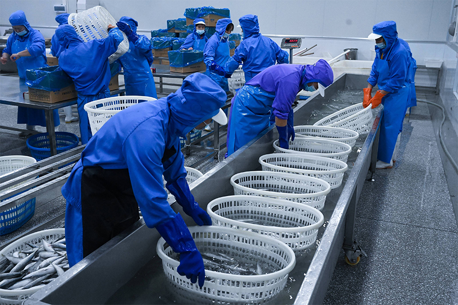 海鮮加工廢水處理方案工藝分析