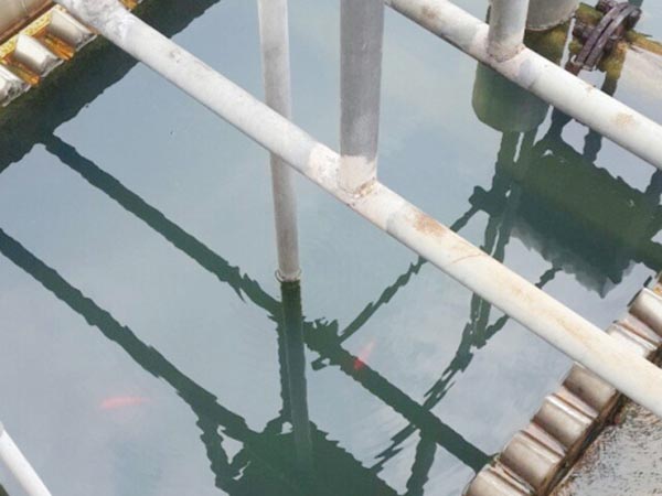 紙箱廠水性油墨廢水處理方法